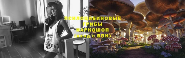 ГАЛЛЮЦИНОГЕННЫЕ ГРИБЫ Горно-Алтайск