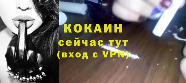 ГАЛЛЮЦИНОГЕННЫЕ ГРИБЫ Горно-Алтайск