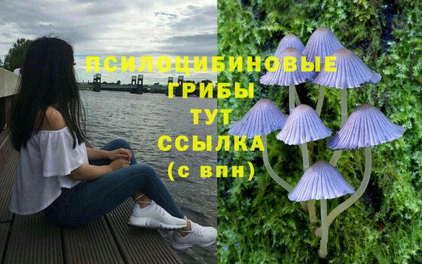 марки lsd Горнозаводск