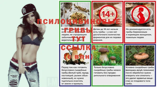 первитин Горняк