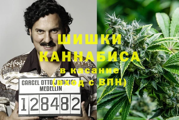 ГАЛЛЮЦИНОГЕННЫЕ ГРИБЫ Горно-Алтайск