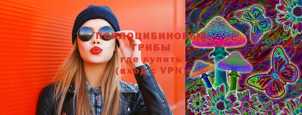 первитин Горняк