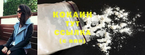 ГАЛЛЮЦИНОГЕННЫЕ ГРИБЫ Горно-Алтайск