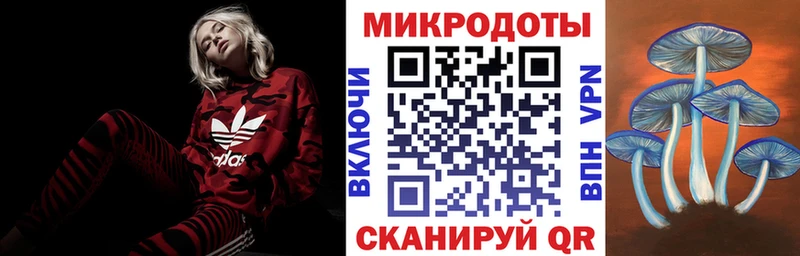 Купить закладки  Руза  Галлюциногенные грибы Magic Shrooms 